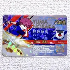 イナズマイレブン イナイレ イレブンライセンス 立向居勇気&綱海条介