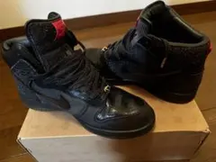 NIKE DUNK MIGHTY CROWN 20th anniversary