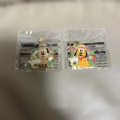 ディズニー　リゾート　Disney　ジャングルカーニバル