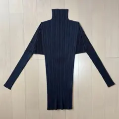 の*ん様 プリーツプリーズ イッセイミヤケ スキッパープルオーバー