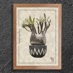 【#2896】おかぴー様 リクエスト 2点 まとめ商品