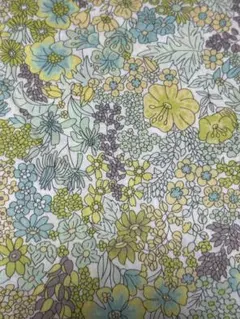 リバティ コットン 綿生地 No.3631165XE