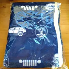 Item thumbnail for item a21db378-2940-4096-92a3-790456cef7c4