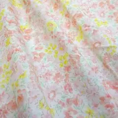 Item thumbnail for item 8f03ad19-549c-4a27-96b3-8d40c63ebd6c