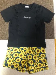 Item thumbnail for item 5f4d083a-005b-4454-855a-a996e6acde0d