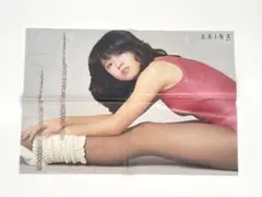 中森明菜 近藤真彦 昭和レトロ 平凡 昭和58年3月号付録 ポスターのサムネイル