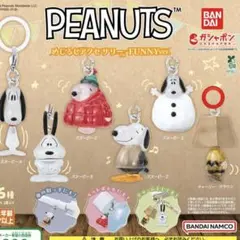 スヌーピー＊PEANUTS めじるしアクセサリー FUNNYver. チャーリー