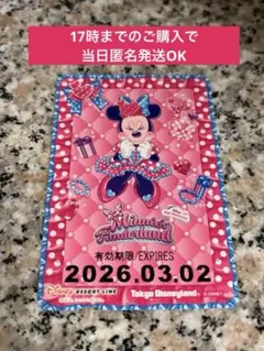 ディズニー フリーきっぷ リゾートライン ミニーのファンダーランド 3月2日
