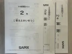 2025年最新】sapix 入室テストの人気アイテム - メルカリ