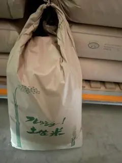新米　令和8年産　高知県産コシヒカリ　玄米30キロのサムネイル