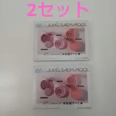 CanCam 26年10月号付録 JUNG SAEM MOOL 水彩画チーク