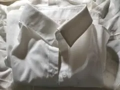 ORIHICA　ワイシャツ　レディース　Sサイズ　白　襟ボタンあり