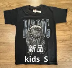 Item thumbnail for item 8d093a24-4d52-4480-bf36-63f48c9fd2e6