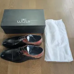新品 定1.3万 LUCIUS 43 26.5 ストレートチップ 外羽根 本革のサムネイル