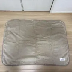 シャンソン　ベージュ ブランケット 約100cm x 70cm 膝掛け