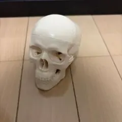 Item thumbnail for item e1b204f6-bcca-434f-bf21-95ba2c2bf4c3