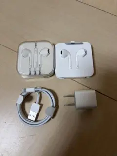 Apple 純正 イヤホン 充電ケーブル ACアダプター セット売り アップル