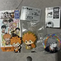 ハイキュー!! 日向翔陽 キーホルダー 缶バッジセット