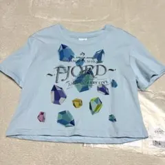 ミセスフィヨルド☆クリスタルTシャツクロップド