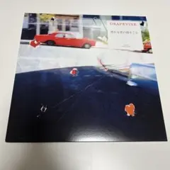 GRAPEVINE 「愚かな者の語ること」 初回限定盤 - メルカリ