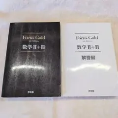 【美品 爪掛けあり】Focus Gold 数学II+B 4th Edition