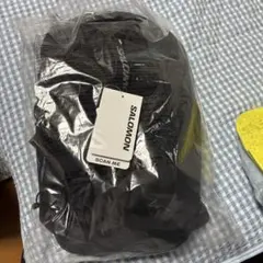 サロモン　リュック　10Lのサムネイル