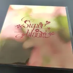 【あんスタ】スタフォニ4th 特典パンフレット