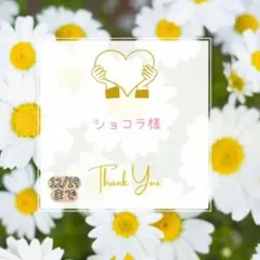 ショコラ様 おすそ分け おまとめパーツ.。.:*☆