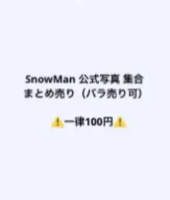 【バラ売り⭕️】SnowMan 集合 公式写真 まとめ売り