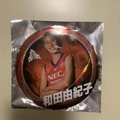 Item thumbnail for item a8b1b023-4397-4384-b740-3edb40c04457