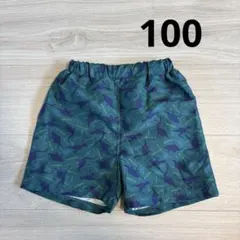 恐竜柄水着100cm