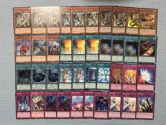 遊戯王 1103環境 ドラグニティ