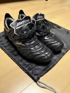 2025年最新】モレリアネオ4 シルバーの人気アイテム - メルカリ