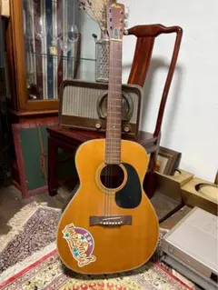希少/Epi（Epiphone）A-10 改エレアコ サドル真鍮 - メルカリ