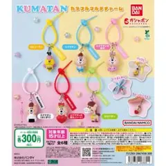 KUMATAN カラフルマルチチャーム コンプリート　6種セット