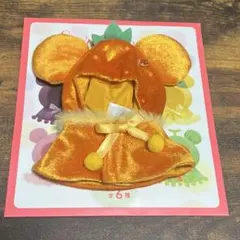 ディズニーストア シークレット ポンチョ オレンジ