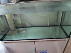 2026年最新】コトブキ 90cm水槽セットの人気アイテム - メルカリ