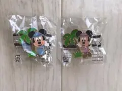 ディズニー ピンバッチ ミッキー  ミニー