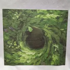 羅小黒戦記 キャラクターグッズ