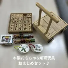 木製おもちゃとはらぺこあおむしなどの知育玩具
