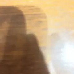専用品