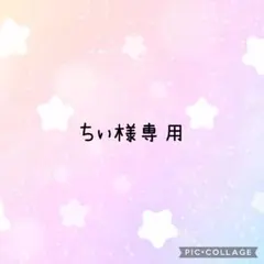 ちぃ様専用
