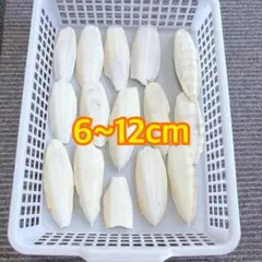 ㉕カトルボーンのサムネイル