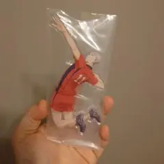 ハイキュー 一番くじ ゴミ捨て場の決戦 灰羽リエーフ アクリルスタンド