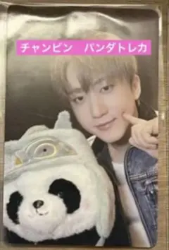 straykids karma kms サイン会特典　トレカ　チェキ　チャンビン