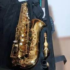 2026年最新】selva サックスの人気アイテム - メルカリ