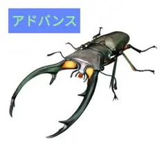 【エラフスホソアカクワガタ（グリーン）】いきもの大図鑑アドバンス　クワガタ02
