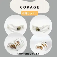 COKAGE [렙타일 쉘터 테라수 M] 카나헤비코 레오파 아이보리 컬러