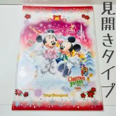 ✩未開封✩東京ディズニーランド　クリスマスファンタジー　Wポケットクリアファイル