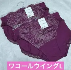 ワコール　ウイング 【ナチュラルアップブラ】ペア ショーツ L 2枚のサムネイル